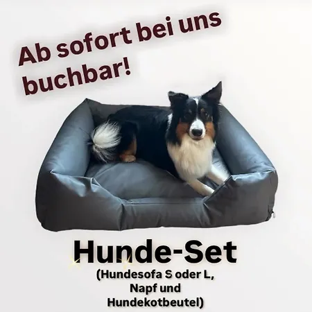 Apartment Seepferdchen Burgtiefe auf Fehmarn